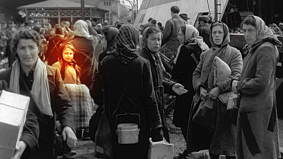 Film Header Image