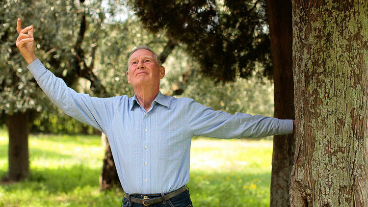 Screening the Holocaust: Shalom Italia